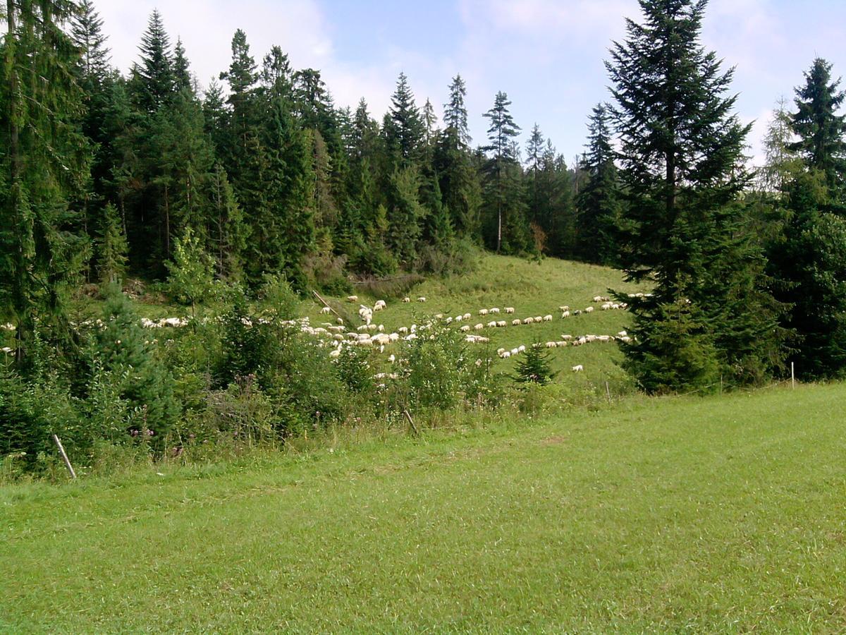 Domek pod Majową Górą Kacwin Zewnętrze zdjęcie